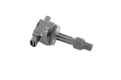 Picture of BorgWarner (BERU) - ZS429 - Ignition Coil (Ignition System)